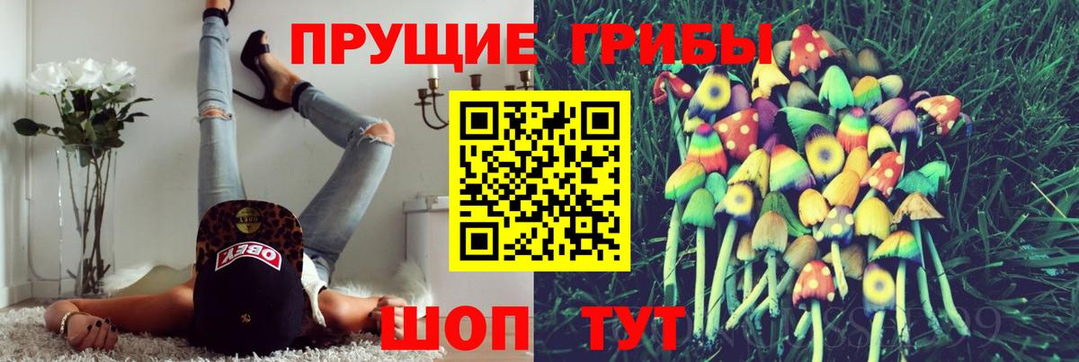 Псилоцибиновые грибы прущие грибы Ирбит